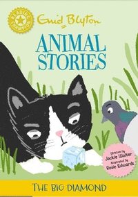bokomslag Reading Champion: Enid Blyton animal stories: The Big Diamond