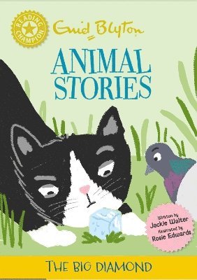 bokomslag Reading Champion: Enid Blyton animal stories: The Big Diamond