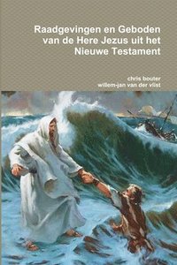 bokomslag Raadgevingen en Geboden van de Here Jezus uit het Nieuwe Testament