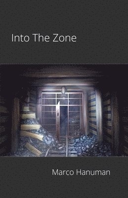 Into The Zone 1