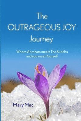 The OUTRAGEOUS JOY Journey 1