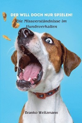 bokomslag will doch nur spielen!