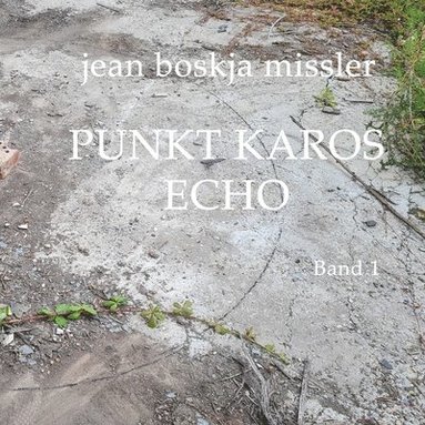 bokomslag Punkt Karos Echo