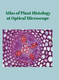 bokomslag Atlas of Plant Histology at Optical Microscope