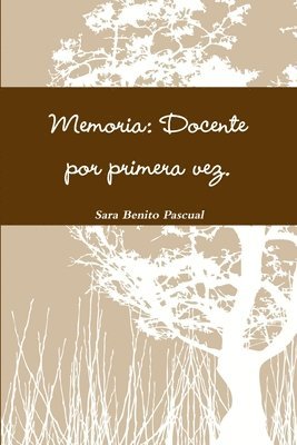 Memoria: Docente Por Primera Vez 1