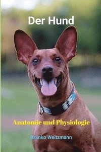 bokomslag Hund