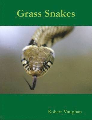 bokomslag Grass Snakes