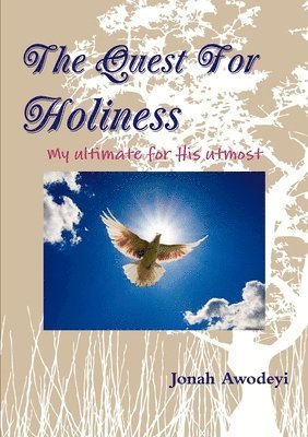 bokomslag Quest For Holiness