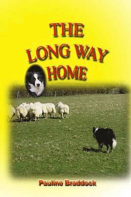 bokomslag Long Way Home