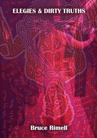 bokomslag Elegies And Dirty Truths