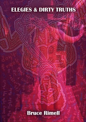 bokomslag Elegies And Dirty Truths