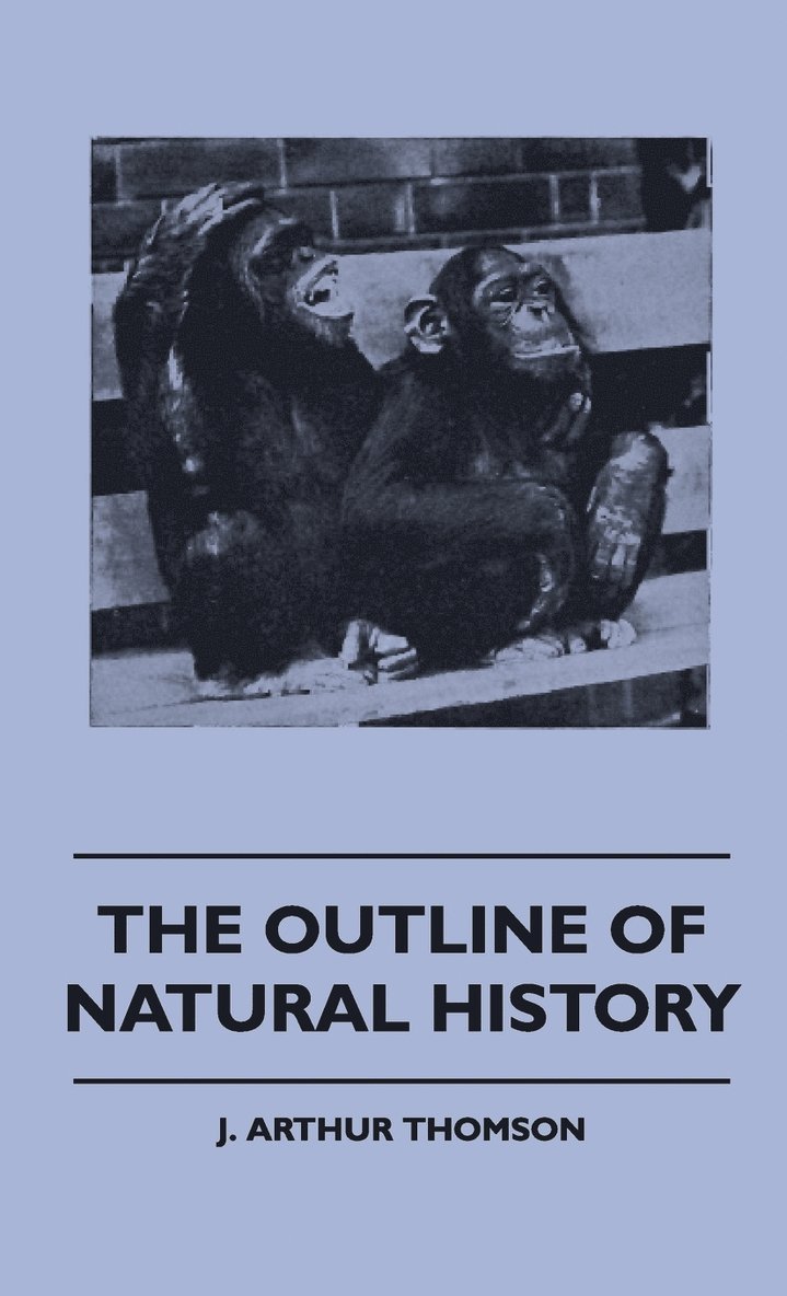 J. Arthur Thomson - Outline Of Natural History, Inbunden