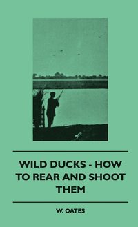 bokomslag Wild Ducks - How To Rear And Shoot Them