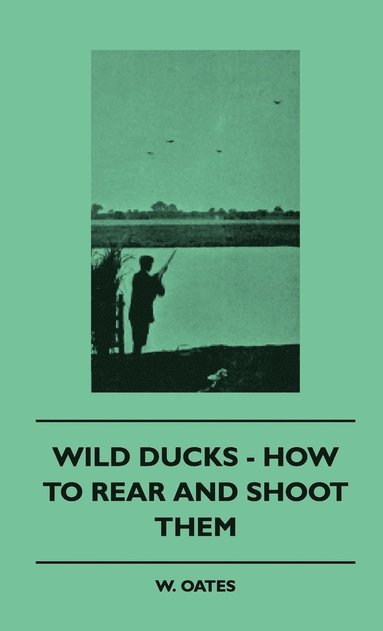 bokomslag Wild Ducks - How To Rear And Shoot Them