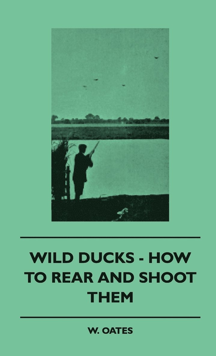 Wild Ducks - How To Rear And Shoot Them 1
