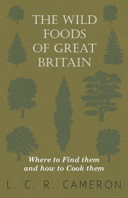 The Wild Foods Of Great Britain Where To Find Them And How To Cook Them 1
