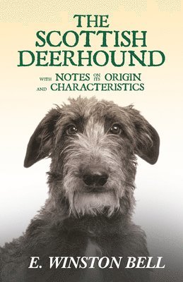 bokomslag Scottish Deerhound With Notes On Its Origin And Characteristics