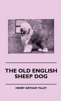 bokomslag The Old English Sheep Dog