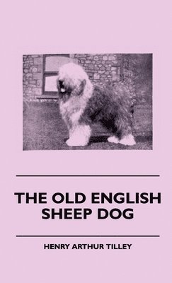 The Old English Sheep Dog 1