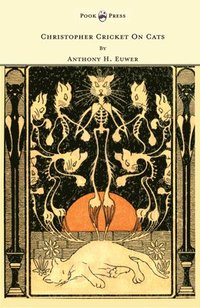 bokomslag Christopher Cricket On Cats - With Observations And Deductions For The Enlightenment Of The Human Race From Infancy To Maturity And Even Old Age