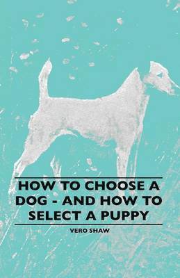 How To Choose A Dog - And How To Select A Puppy 1