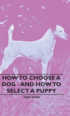 bokomslag How To Choose A Dog - And How To Select A Puppy