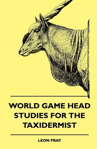 bokomslag World Game Head Studies For The Taxidermist
