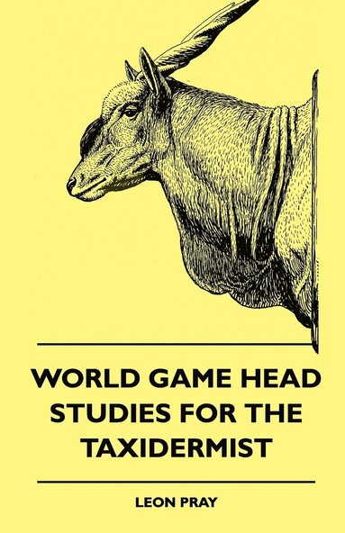 bokomslag World Game Head Studies For The Taxidermist