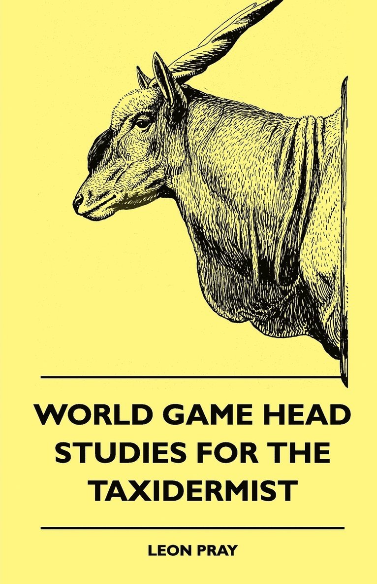 World Game Head Studies For The Taxidermist