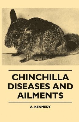 bokomslag Chinchilla Diseases And Ailments