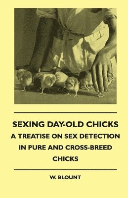 Sexing Day-Old Chicks - A Treatise On Sex Detection In Pure And Cross-Breed Chicks