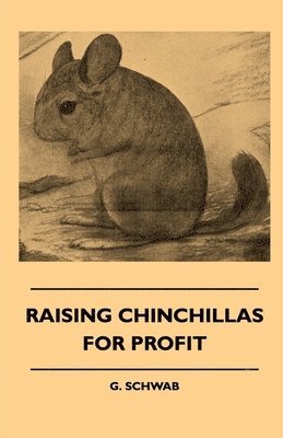 bokomslag Raising Chinchillas For Profit