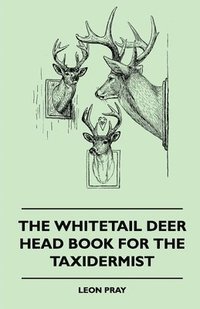 bokomslag The Whitetail Deer Head Book For The Taxidermist
