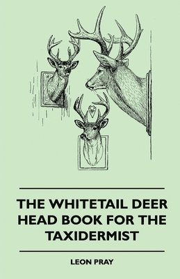 Whitetail Deer Head Book For The Taxidermist