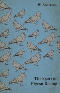 bokomslag The Sport Of Pigeon Racing