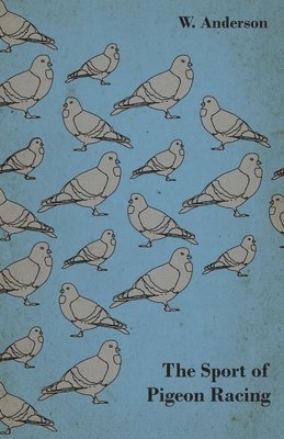 The Sport Of Pigeon Racing 1