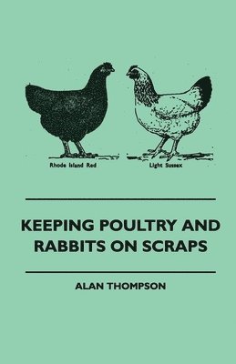 Keeping Poultry And Rabbits On Scraps 1