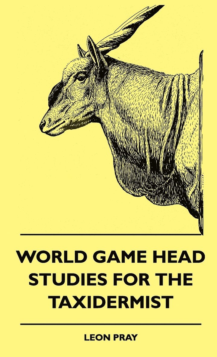 World Game Head Studies For The Taxidermist 1
