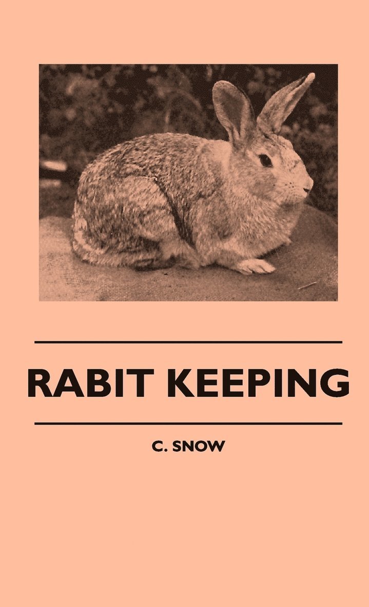 Rabit Keeping
