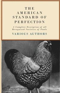 bokomslag The American Standard Of Perfection - A Complete Desription Of All Recognized Varieties Of Fowls