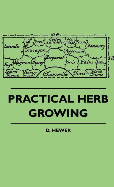 bokomslag Practical Herb Growing