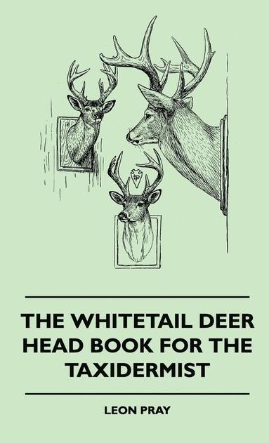 bokomslag The Whitetail Deer Head Book For The Taxidermist