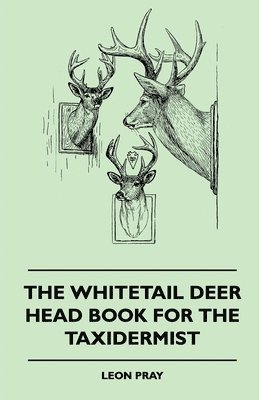 The Whitetail Deer Head Book For The Taxidermist 1