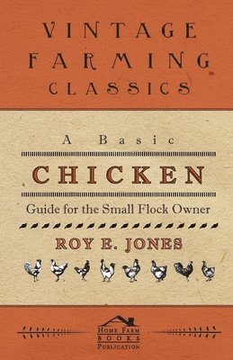 bokomslag A Basic Chicken Guide For The Small Flock Owner