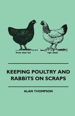 Alan Thompson - Keeping Poultry And Rabbits On Scraps, Inbunden