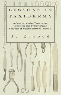 bokomslag Lessons In Taxidermy - A Comprehensive Treatise On Collecting And Preserving All Subjects Of Natural History - Book I.