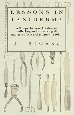Lessons In Taxidermy - A Comprehensive Treatise On Collecting And Preserving All Subjects Of Natural History - Book I.
