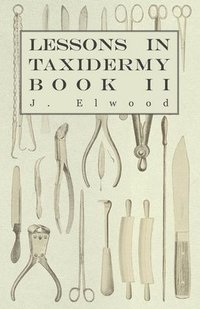 bokomslag Lessons In Taxidermy - A Comprehensive Treatise On Collecting And Preserving All Subjects Of Natural History - Book II.