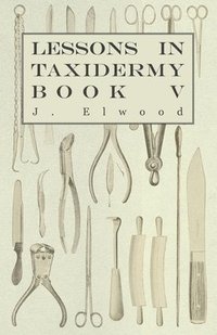 bokomslag Lessons In Taxidermy - A Comprehensive Treatise On Collecting And Preserving All Subjects Of Natural History - Book V.