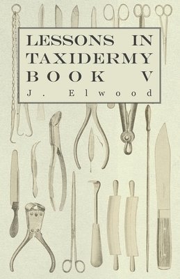 Lessons In Taxidermy - A Comprehensive Treatise On Collecting And Preserving All Subjects Of Natural History - Book V. 1